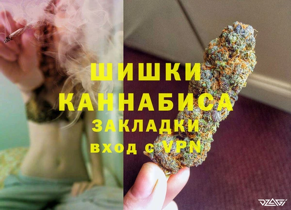 тгк Богданович