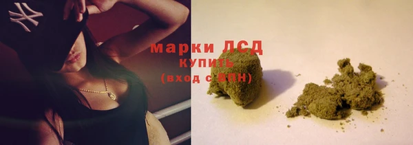 стаф Богородицк