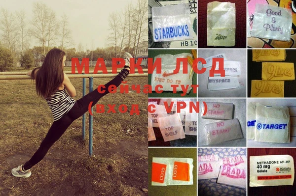 винт Белокуриха