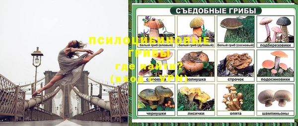 ALPHA-PVP Богородск