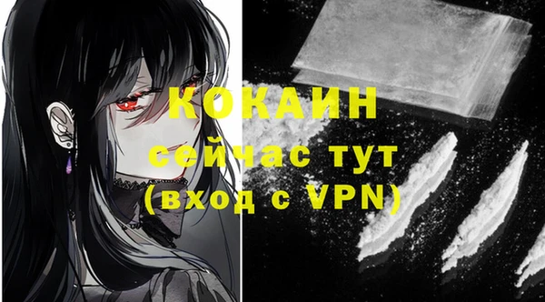 тгк Богданович