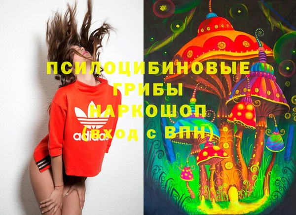 стаф Богородицк