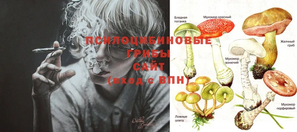 стафф Бугульма