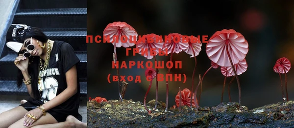 гашиш Бородино